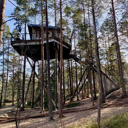 Tretopphytter Pa Grensen - Elghytta Med Robat Og Gjeddefiske Халден Екстериор снимка
