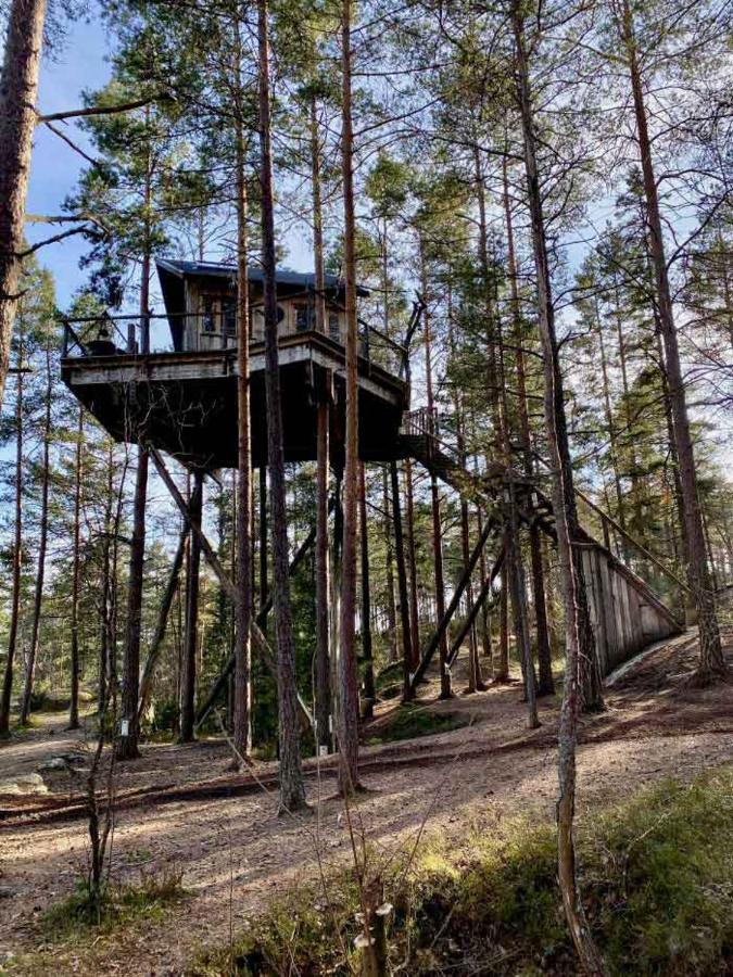 Tretopphytter Pa Grensen - Elghytta Med Robat Og Gjeddefiske Халден Екстериор снимка