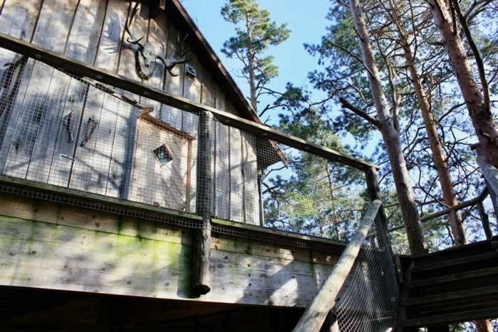 Tretopphytter Pa Grensen - Elghytta Med Robat Og Gjeddefiske Халден Екстериор снимка